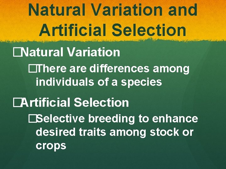 Natural Variation and Artificial Selection �Natural Variation �There are differences among individuals of a