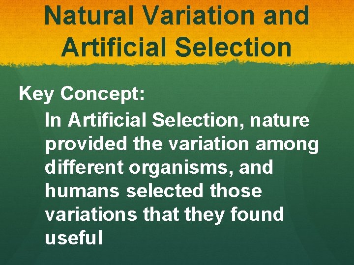 Natural Variation and Artificial Selection Key Concept: In Artificial Selection, nature provided the variation