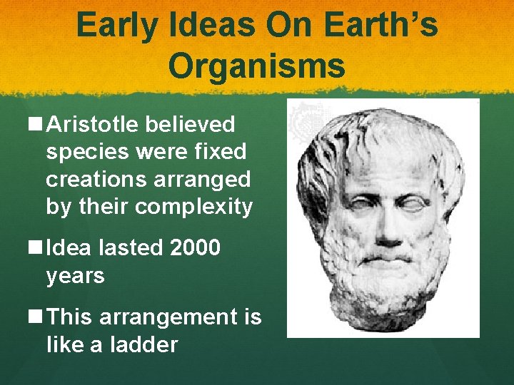 Early Ideas On Earth’s Organisms n Aristotle believed species were fixed creations arranged by