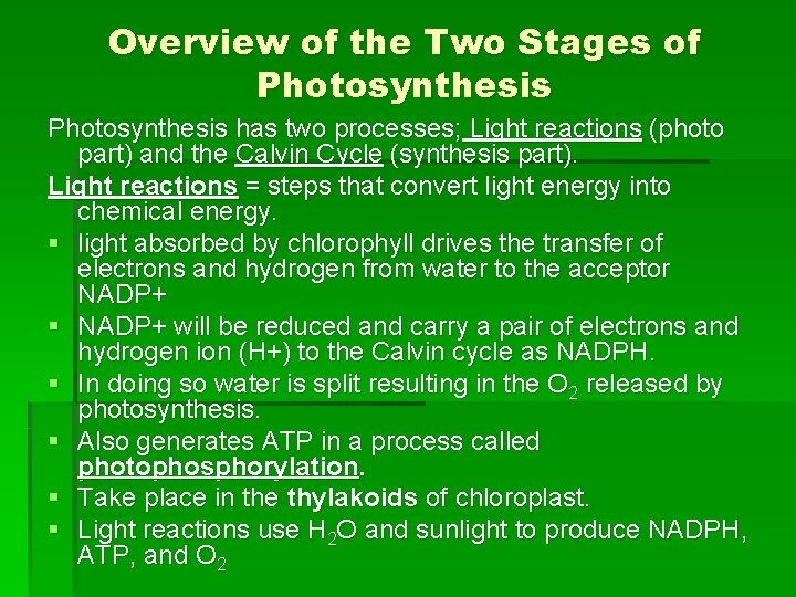Overview of the Two Stages of Photosynthesis has two processes; Light reactions (photo part) Overview of the Two Stages of Photosynthesis has two processes; Light reactions (photo part)