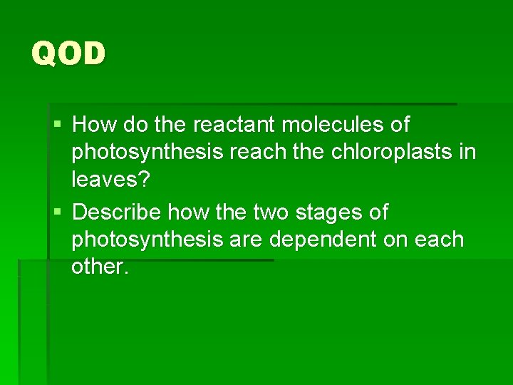 QOD § How do the reactant molecules of photosynthesis reach the chloroplasts in leaves? QOD § How do the reactant molecules of photosynthesis reach the chloroplasts in leaves?