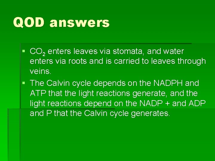 QOD answers § CO 2 enters leaves via stomata, and water enters via roots QOD answers § CO 2 enters leaves via stomata, and water enters via roots