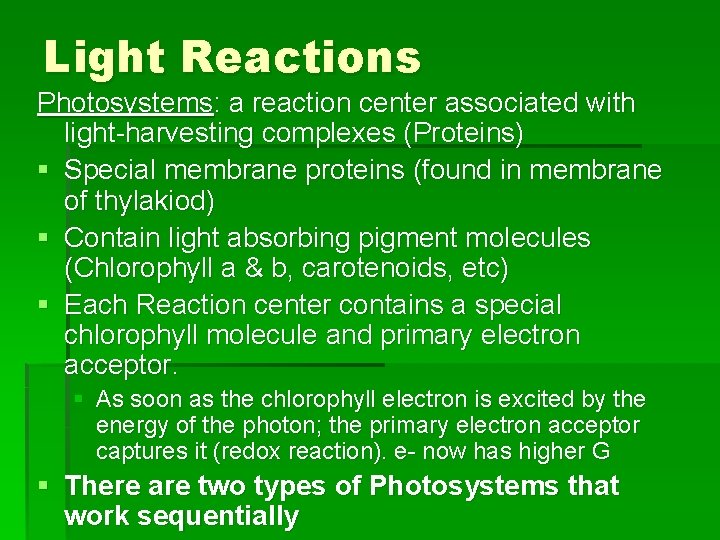 Light Reactions Photosystems: a reaction center associated with light-harvesting complexes (Proteins) § Special membrane Light Reactions Photosystems: a reaction center associated with light-harvesting complexes (Proteins) § Special membrane