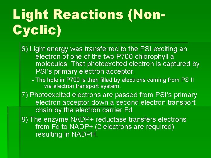 Light Reactions (Non. Cyclic) 6) Light energy was transferred to the PSI exciting an Light Reactions (Non. Cyclic) 6) Light energy was transferred to the PSI exciting an