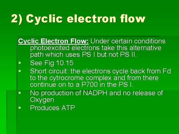 2) Cyclic electron flow Cyclic Electron Flow: Under certain conditions photoexcited electrons take this 2) Cyclic electron flow Cyclic Electron Flow: Under certain conditions photoexcited electrons take this