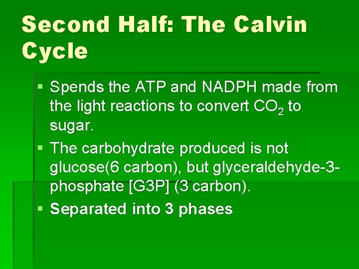 Second Half: The Calvin Cycle § Spends the ATP and NADPH made from the Second Half: The Calvin Cycle § Spends the ATP and NADPH made from the