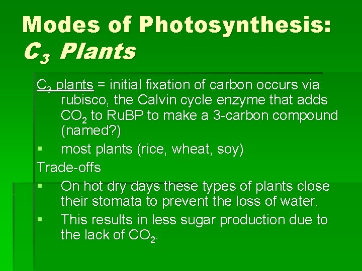 Modes of Photosynthesis: C 3 Plants C 3 plants = initial fixation of carbon Modes of Photosynthesis: C 3 Plants C 3 plants = initial fixation of carbon
