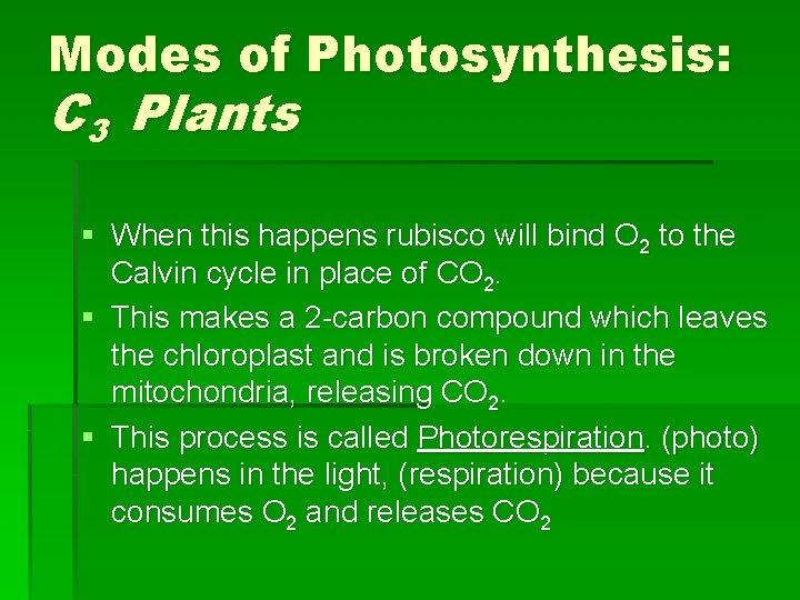 Modes of Photosynthesis: C 3 Plants § When this happens rubisco will bind O Modes of Photosynthesis: C 3 Plants § When this happens rubisco will bind O