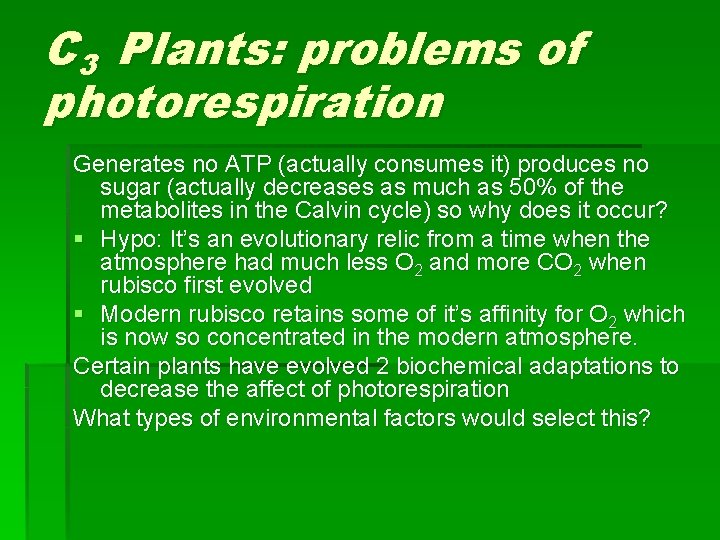 C 3 Plants: problems of photorespiration Generates no ATP (actually consumes it) produces no C 3 Plants: problems of photorespiration Generates no ATP (actually consumes it) produces no