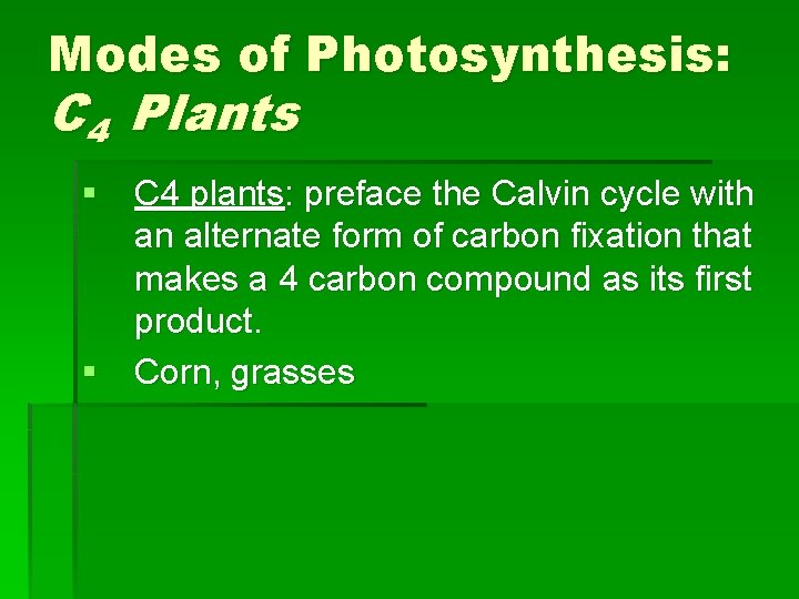 Modes of Photosynthesis: C 4 Plants § C 4 plants: preface the Calvin cycle Modes of Photosynthesis: C 4 Plants § C 4 plants: preface the Calvin cycle