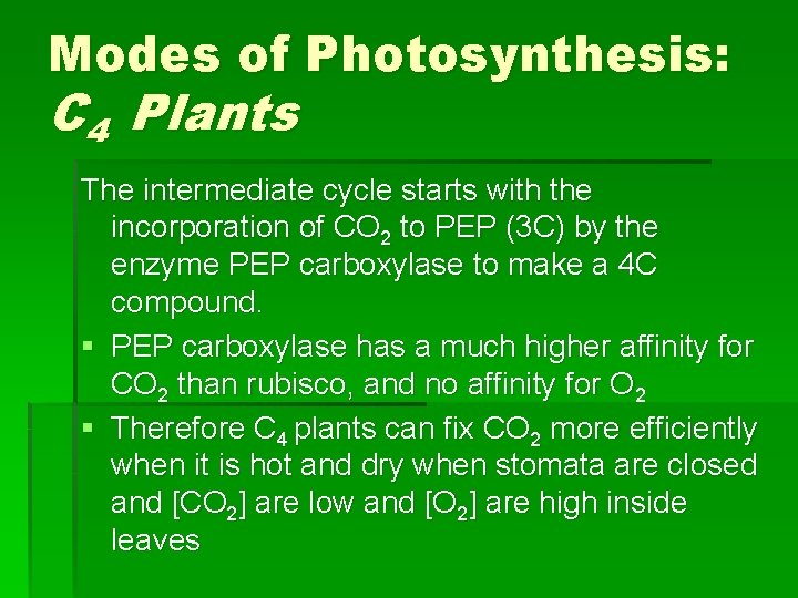 Modes of Photosynthesis: C 4 Plants The intermediate cycle starts with the incorporation of Modes of Photosynthesis: C 4 Plants The intermediate cycle starts with the incorporation of