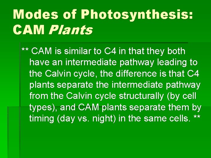 Modes of Photosynthesis: CAM Plants ** CAM is similar to C 4 in that Modes of Photosynthesis: CAM Plants ** CAM is similar to C 4 in that