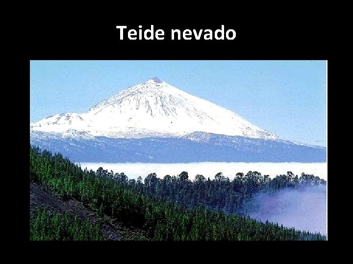 Teide nevado 