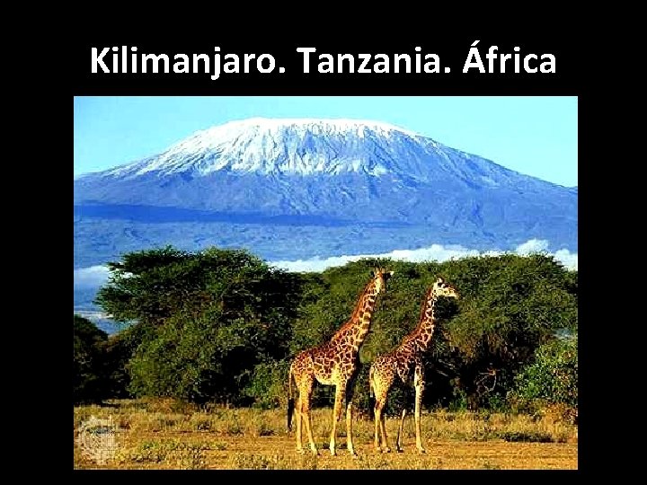 Kilimanjaro. Tanzania. África 