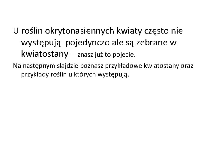 U roślin okrytonasiennych kwiaty często nie występują pojedynczo ale są zebrane w kwiatostany –