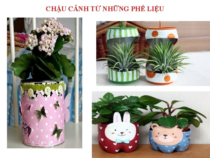 CHẬU CẢNH TỪ NHỮNG PHẾ LIỆU 