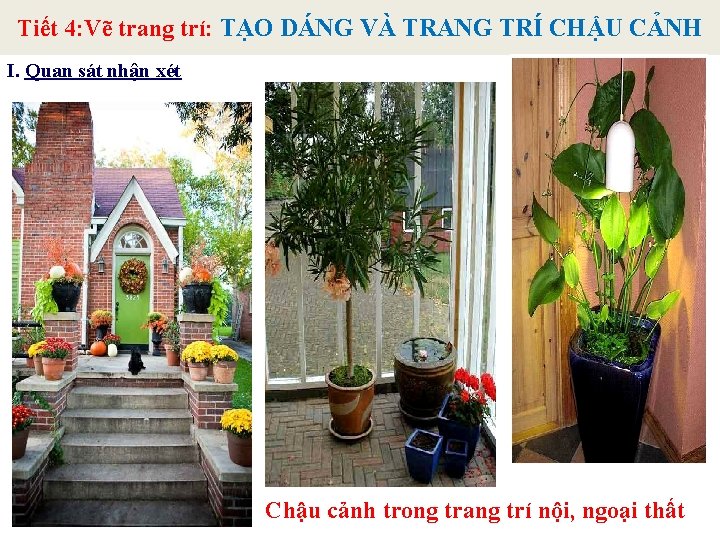 Tiết 4: Vẽ trang trí: TẠO DÁNG VÀ TRANG TRÍ CHẬU CẢNH I. Quan