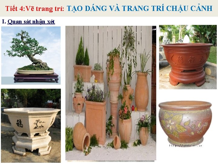 Tiết 4: Vẽ trang trí: TẠO DÁNG VÀ TRANG TRÍ CHẬU CẢNH I. Quan