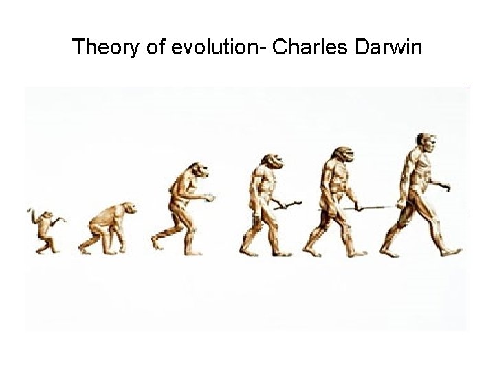 Theory of evolution- Charles Darwin 