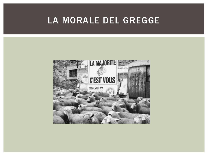 LA MORALE DEL GREGGE 