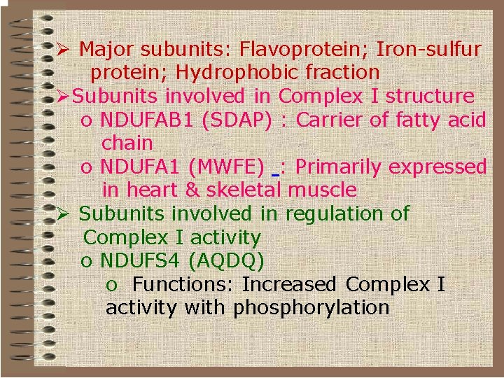 Ø Major subunits: Flavoprotein; Iron-sulfur protein; Hydrophobic fraction ØSubunits involved in Complex I structure