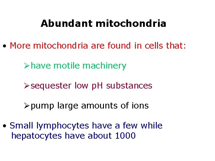 Abundant mitochondria • More mitochondria are found in cells that: Øhave motile machinery Øsequester