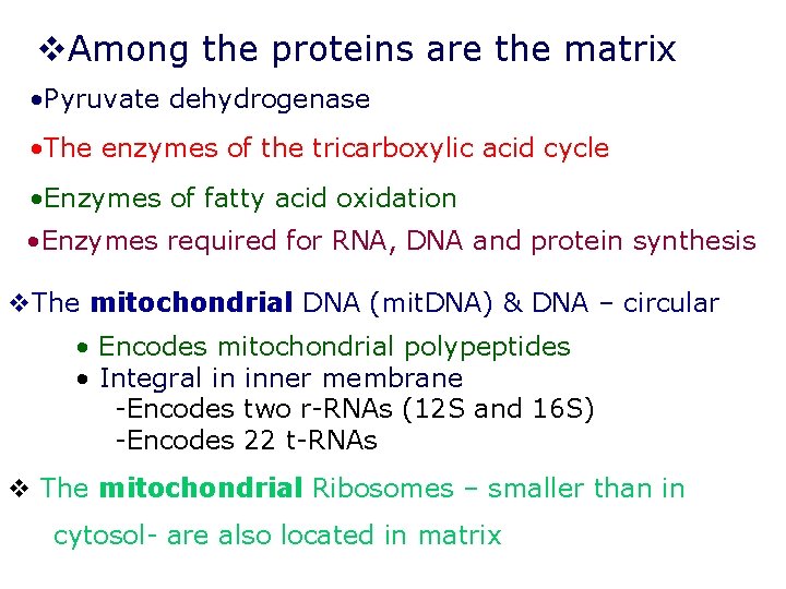 v. Among the proteins are the matrix • Pyruvate dehydrogenase • The enzymes of