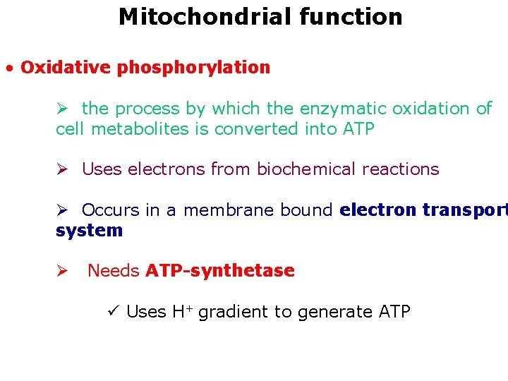 Mitochondrial function • Oxidative phosphorylation Ø the process by which the enzymatic oxidation of