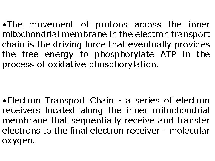  • The movement of protons across the inner mitochondrial membrane in the electron