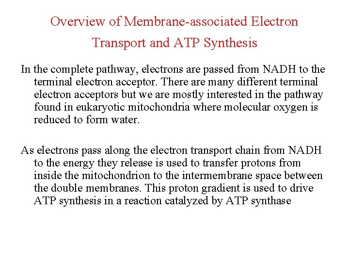 Overview of Membrane-associated Electron Transport and ATP Synthesis In the complete pathway, electrons are
