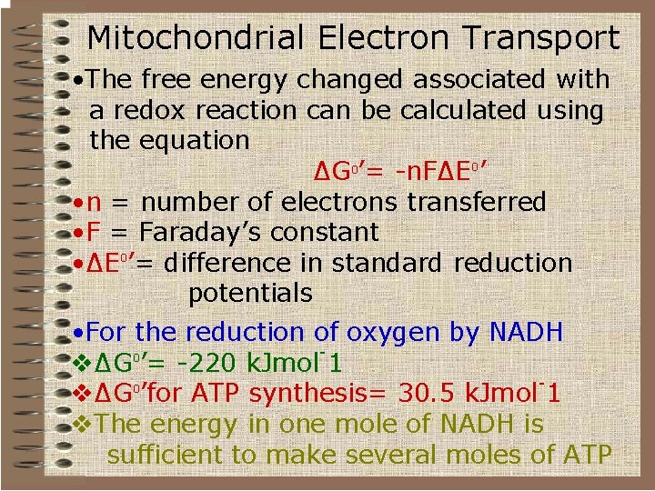 Mitochondrial Electron Transport • The free energy changed associated with a redox reaction can