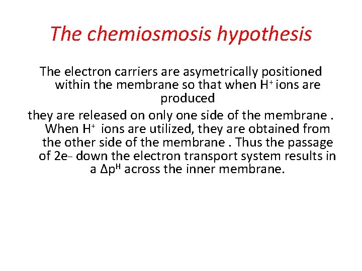 The chemiosmosis hypothesis The electron carriers are asymetrically positioned within the membrane so that