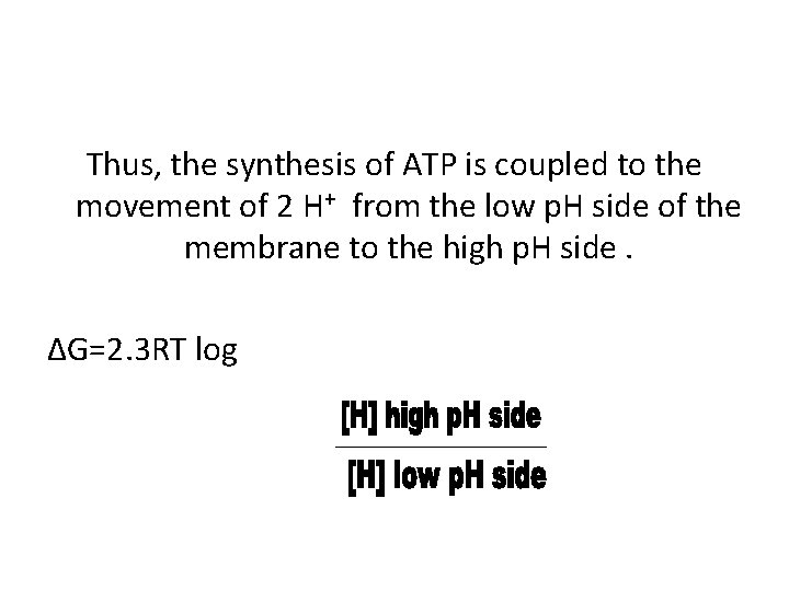 Thus, the synthesis of ATP is coupled to the movement of 2 H+ from