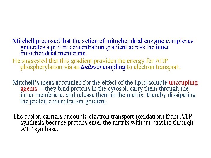 Mitchell proposed that the action of mitochondrial enzyme complexes generates a proton concentration gradient