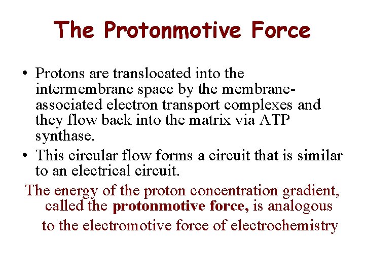 The Protonmotive Force • Protons are translocated into the intermembrane space by the membraneassociated