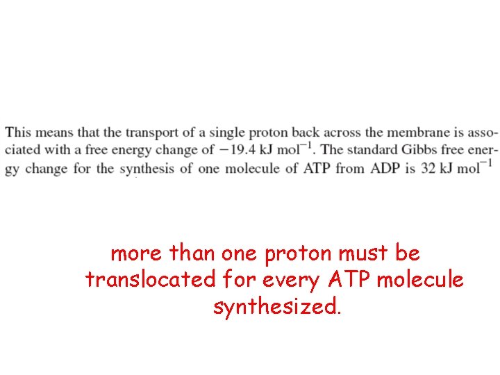 more than one proton must be translocated for every ATP molecule synthesized. 