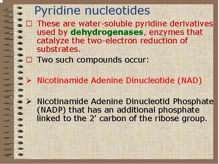 Pyridine nucleotides o These are water-soluble pyridine derivatives used by dehydrogenases, enzymes that catalyze