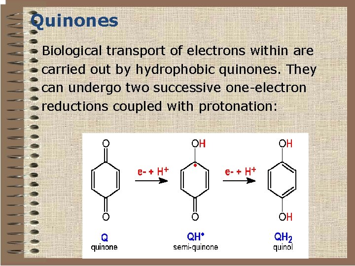 Quinones Biological transport of electrons within are carried out by hydrophobic quinones. They can