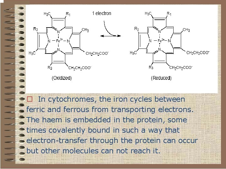 o In cytochromes, the iron cycles between ferric and ferrous from transporting electrons. The