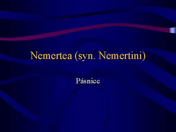 Nemertea (syn. Nemertini) Pásnice 