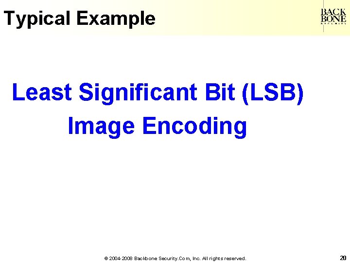 A Net-Centric Do. D NII/CIO Typical Example Least Significant Bit (LSB) Image Encoding ©