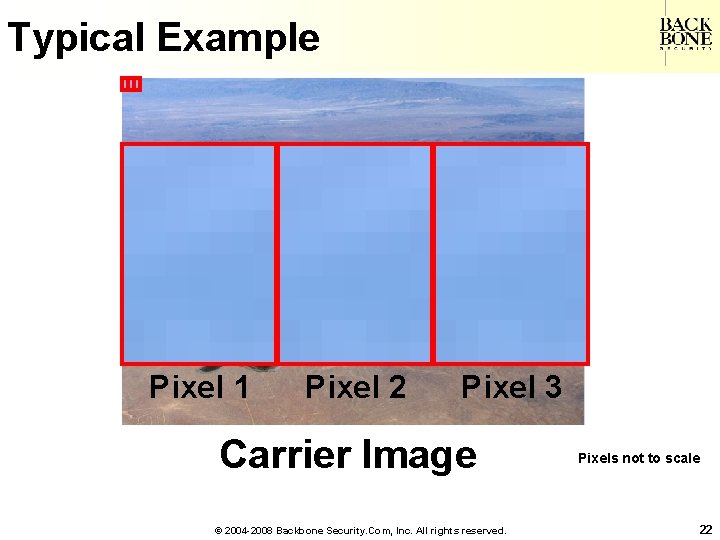 A Net-Centric Do. D NII/CIO Typical Example Pixel 1 Pixel 2 Pixel 3 Carrier
