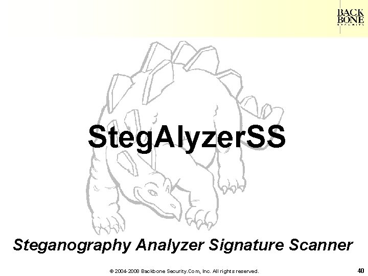 A Net-Centric Do. D NII/CIO Steg. Alyzer. SS Steganography Analyzer Signature Scanner © 2004