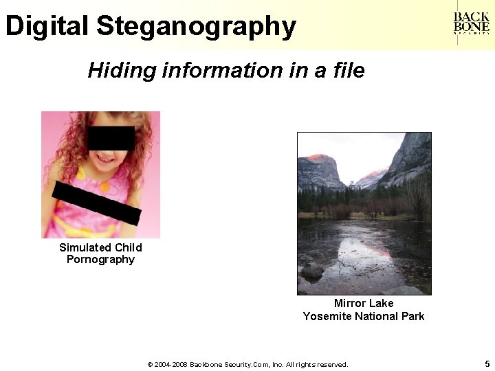 A Net-Centric Do. D NII/CIO Digital Steganography Hiding information in a file Simulated Child