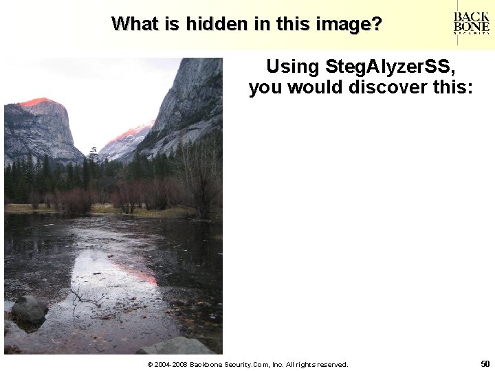 A Net-Centric Do. D NII/CIO What is hidden in this image? Using Steg. Alyzer.