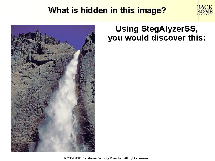 A Net-Centric Do. D NII/CIO What is hidden in this image? Using Steg. Alyzer.