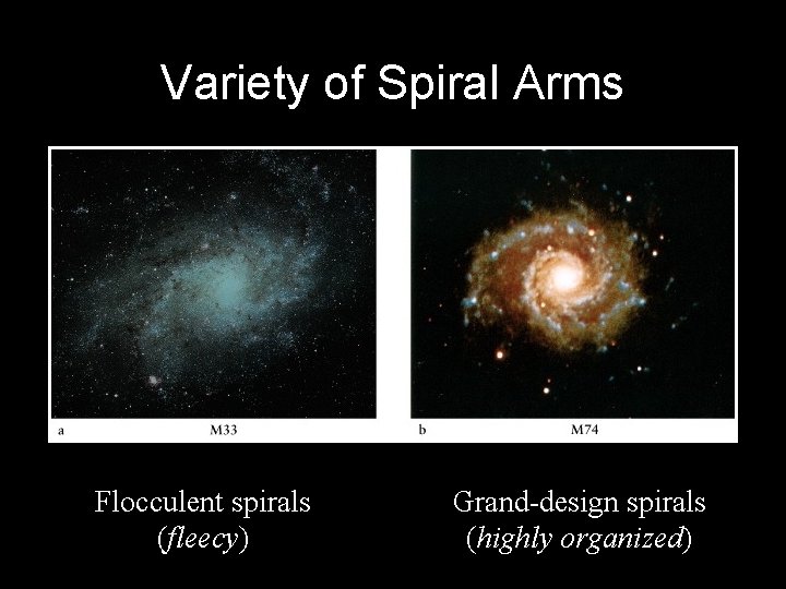 Variety of Spiral Arms Flocculent spirals (fleecy) Grand-design spirals (highly organized) 