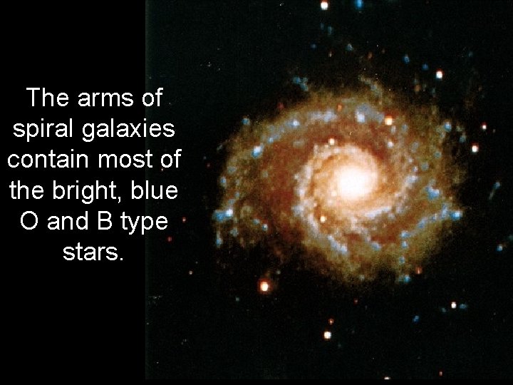 The arms of spiral galaxies contain most of the bright, blue O and B