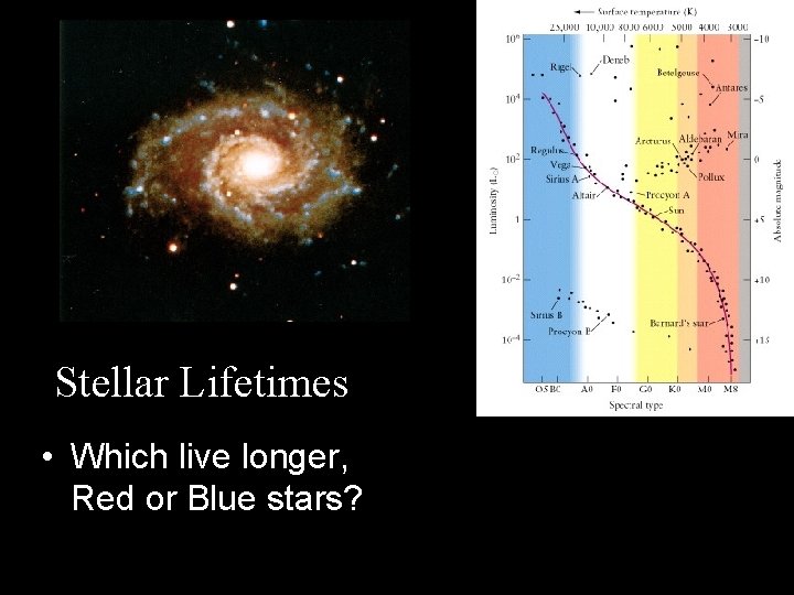 Stellar Lifetimes • Which live longer, Red or Blue stars? 