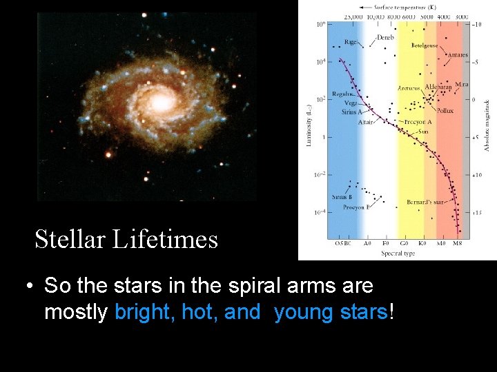 Stellar Lifetimes • So the stars in the spiral arms are mostly bright, hot,